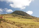 Koko Head Crater Hike